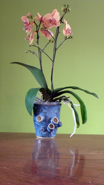 ceramic sculptural pod vase for orchid plants handmade by Leslie Leong, Canadian Artist, Whitehorse, Yukon.